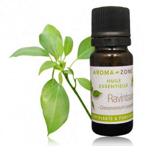 Ulei esential ravintsara BIO puritate 100% – 10 ml