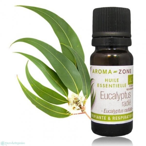 Ulei esential eucalipt australian (radiata) - puritate 100% - 10 ml